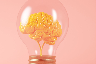 Informationsanlass: Wunderwerk Gehirn und wie wir es fit halten