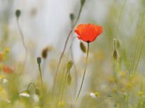 In Sachen Sexualität