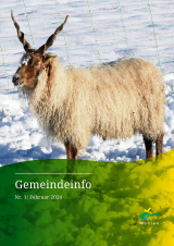 Gemeindeinfo 2024 / 1