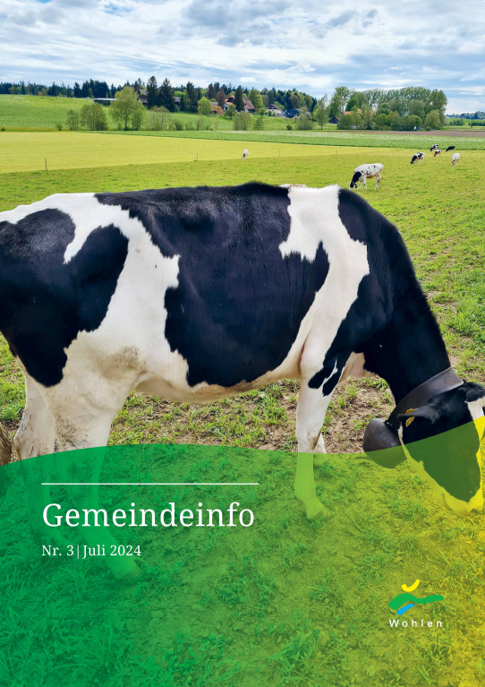 Gemeindeinfo 2024 / 3
