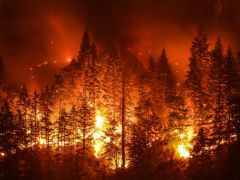 Erhebliche Waldbrandgefahr