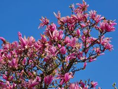 Departementskommission Bildung; Ersatzwahl