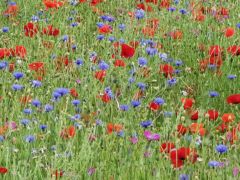 AHV-Zweigstelle Kirchlindach; neuer Zusammenarbeitsvertrag