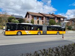 Angebots- und Betriebskonzept Bus-Y