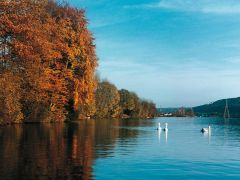 Wohlen, Wohlensee im Herbst