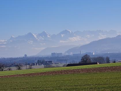 Wasserzählerablesungen 2025