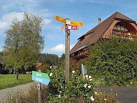 Steinisweg