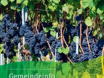 Gemeindeinfo 2023 / 4