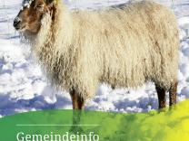 Gemeindeinfo 24-1