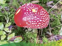 Gemeindeinfo 2025 / 4